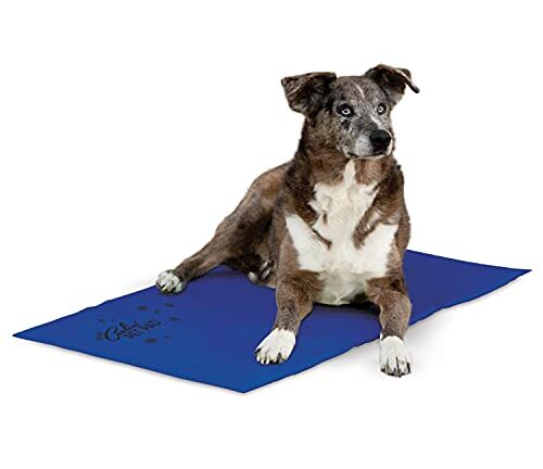 What is the Best Cooling Mat for Dogs